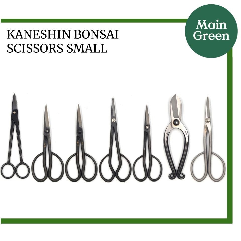 Kaneshin Bonsai Scissors Small, Furniture & Home Living, Gardening