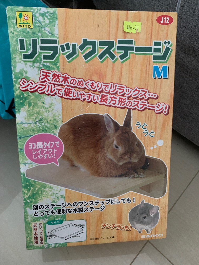 Noseless Rabbit Thing Relax thing for rabbits, Pet Supplies, Homes & Other Pet Accessories on ...
