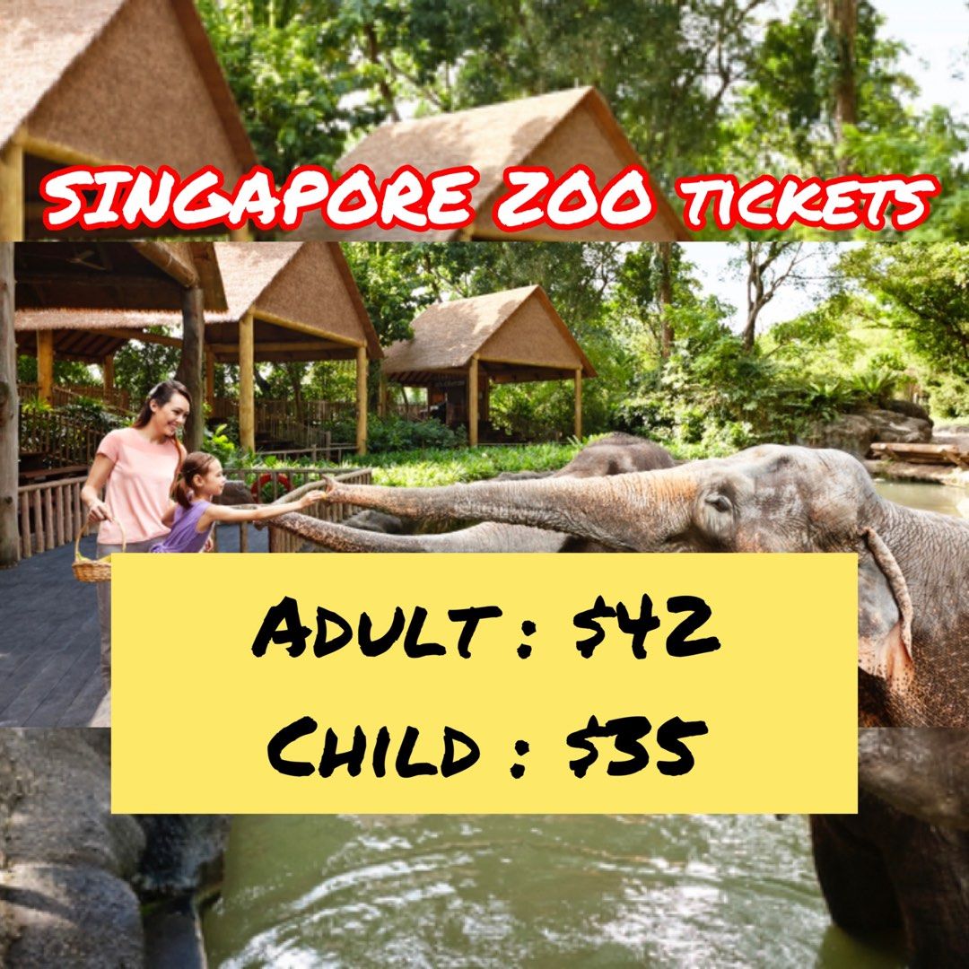 Zoo tickets, Tickets & Vouchers, Local Attractions & Transport on Carousell