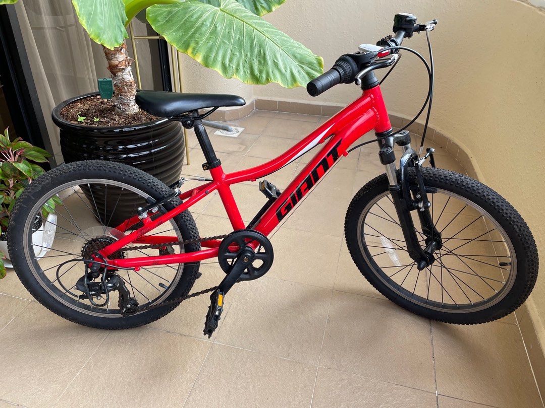 Xtc jr 2025 20 2020