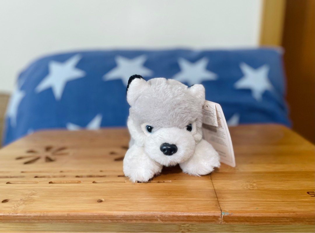 Blue magic dog stuffed toys price sale