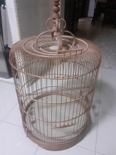 Cage
