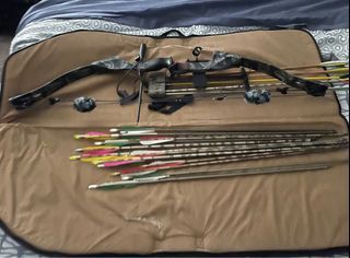 Cobra compound bow