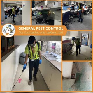 (Category: ) located in . Submitted by danial_pest_control (Listing ID 1201054046, Image 1). Description: .