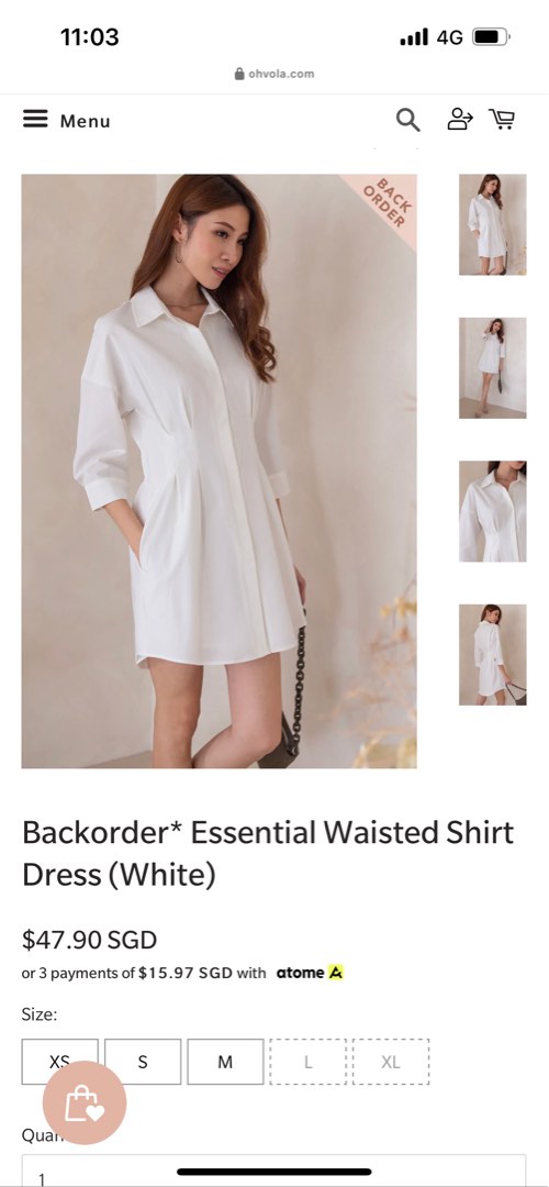 The Waisted Shirt