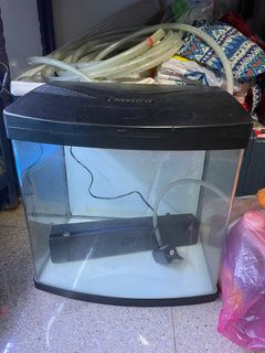 (Category: ) located in . Submitted by _jielong_ (Listing ID 1201078776, Image 1). Description: .