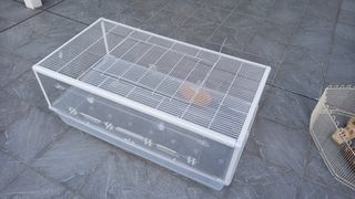 （分類：）位於 。 由 reesecmrn 提交（商品編號 1201095454，圖片 1）。簡介： 。