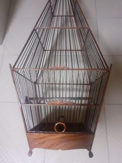 Jambul cage