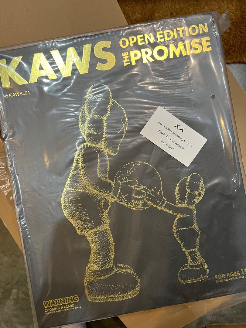 新品 KAWS THE PROMISE BLACK | accentdental.com.au