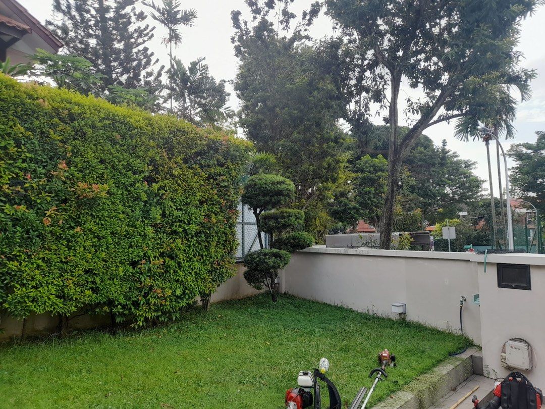 Landscape maintenance64884981556865110