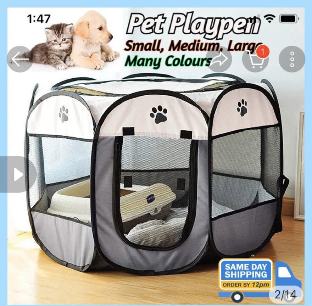 animal play yard