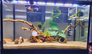 (Category: ) located in . Submitted by isqui (Listing ID 1201026621, Image 1). Description: .
