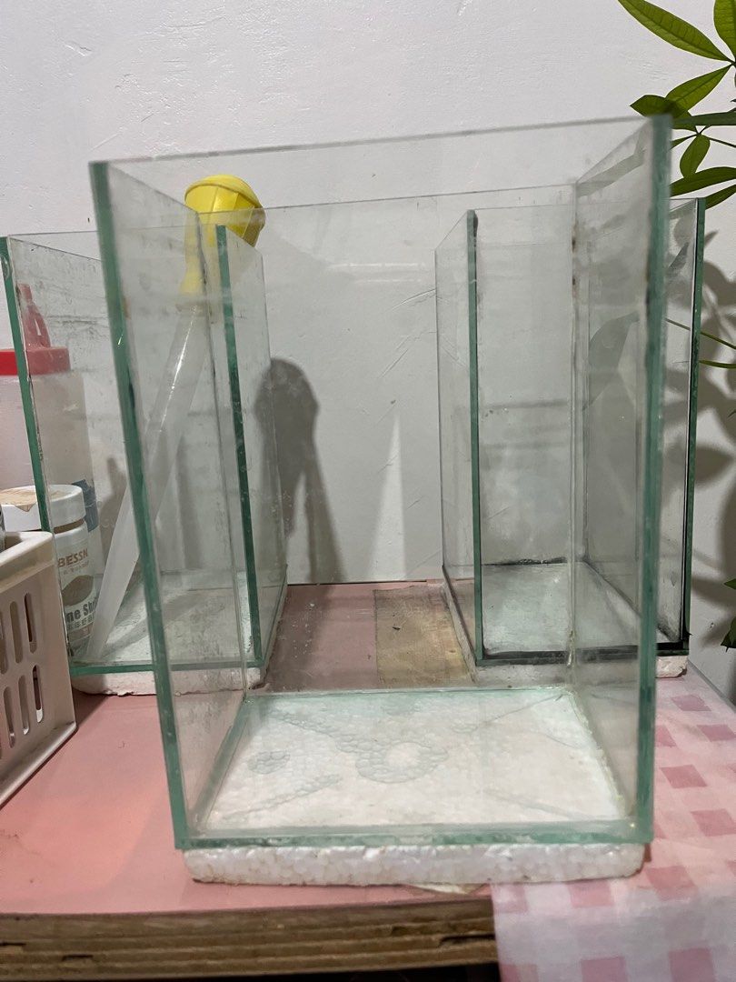 2.5G Aquarium Tank Second Hand, Pet Supplies, Homes & Other Pet