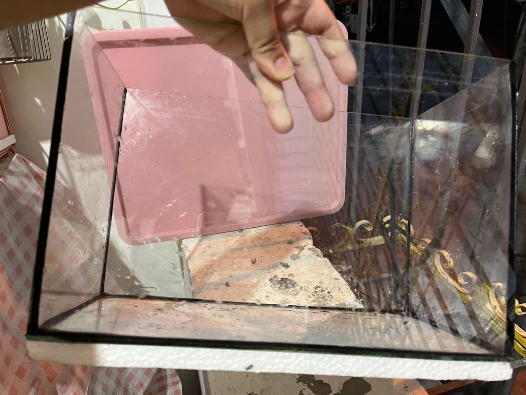 2.5G Aquarium Tank Second Hand, Pet Supplies, Homes & Other Pet