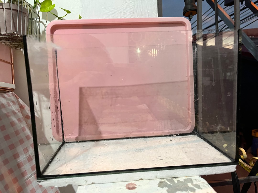 2.5G Aquarium Tank Second Hand, Pet Supplies, Homes & Other Pet