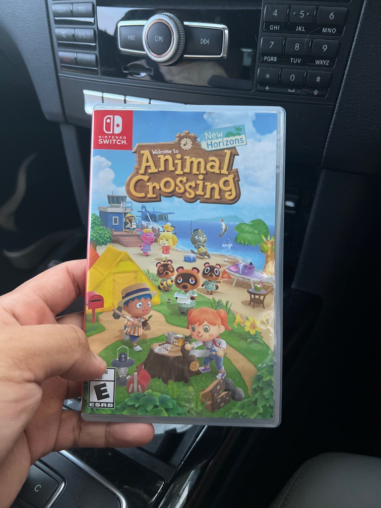 Animal Crossing ACNH, Video Gaming, Video Games, Nintendo on Carousell