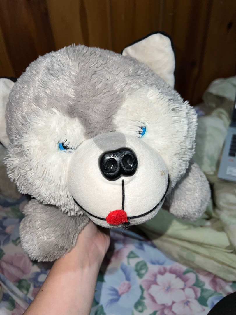 Blue Magic Husky Stuffed Toy free for miners Hobbies Toys