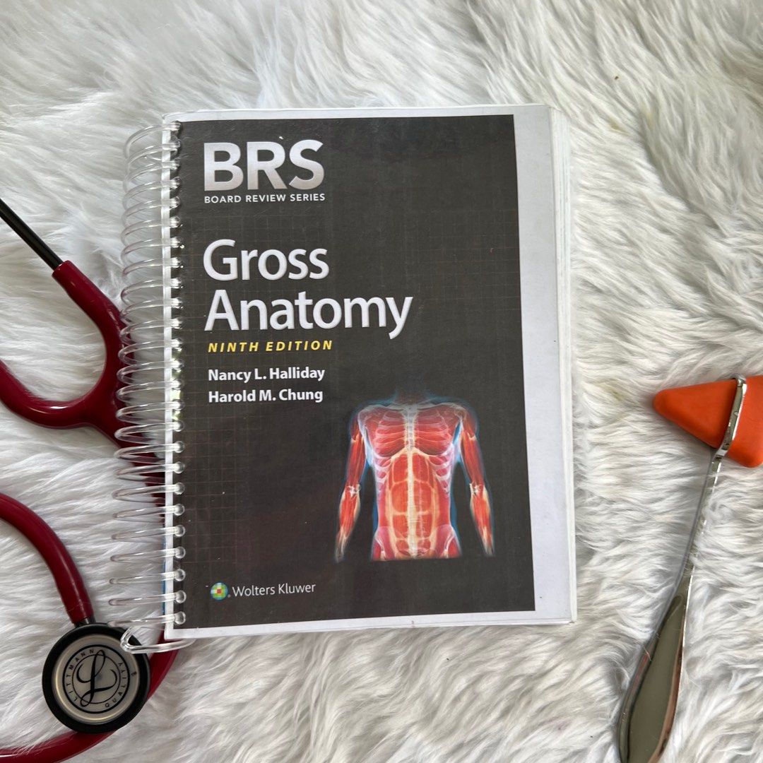 BRS Gross Anatomy 9th Ed, Hobbies & Toys, Books & Magazines, Textbooks ...