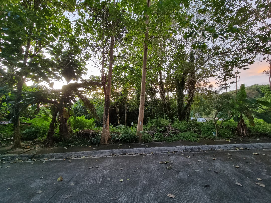 Park Ridge in Valley Golf, Antipolo, Residential Lot for Sale, Property