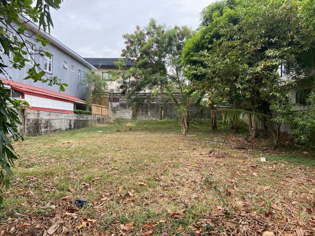 Residencial Lot in Alabang Hills, Property, For Sale, Lot on Carousell