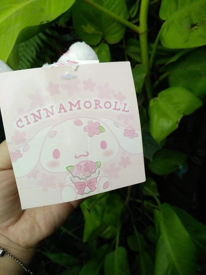 CINNAMOROLL Sanrio Characters 