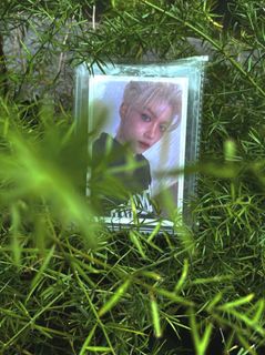 （分類：）位於 。 由 kpop_zelix_ 提交（商品編號 1201353564，圖片 1）。簡介： 。