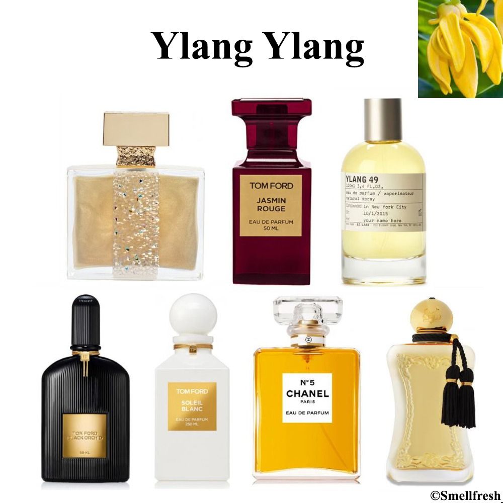 Jasmine and sales ylang ylang perfume