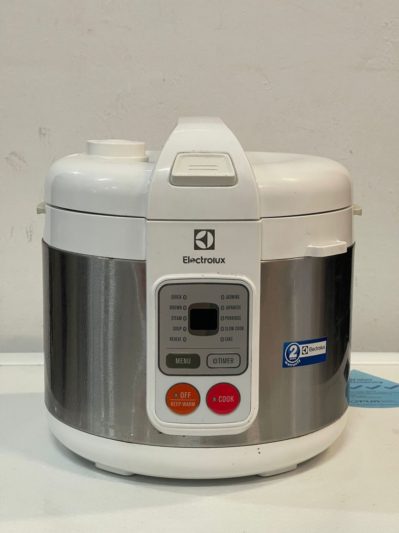 electrolux multi steamer