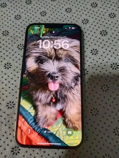 iPhone 13 pro