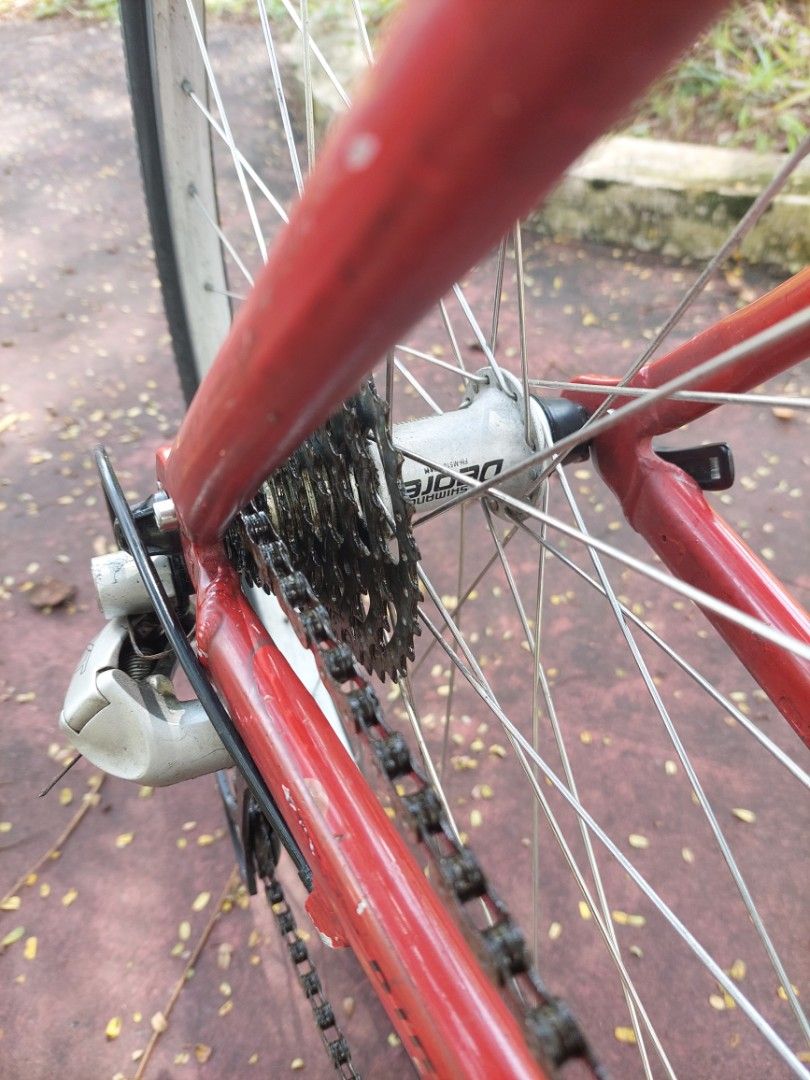 Specialized hot sale rockhopper craigslist