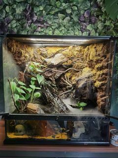 Vivarium / Terrarium Exoterra