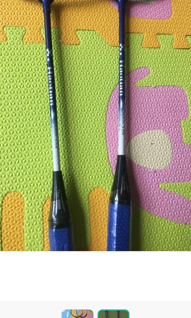 Haotian Badminton (Yonex bag free), Sports Equipment, Sports & Games ...