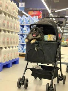 (Category: ) located in . Submitted by the_cornerstore (Listing ID 1201751911, Image 1). Description: .