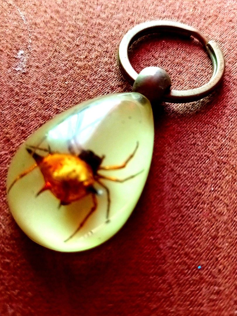 Insect keychain best sale