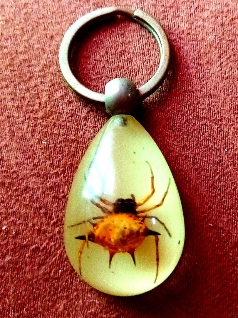 Insect keychain shop