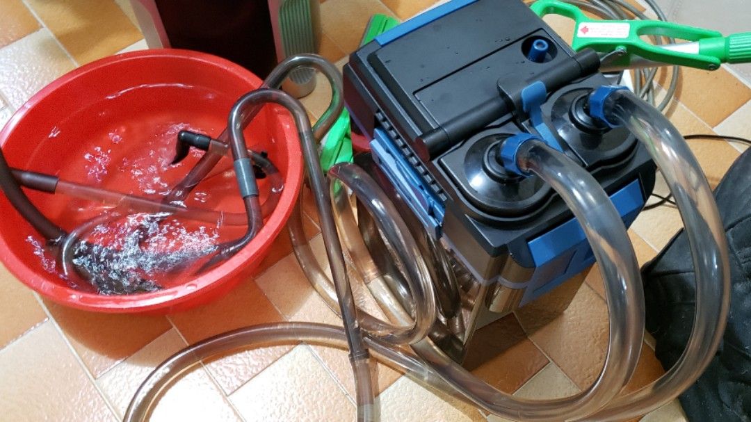 DoPhin Canister Filter CF11008, Pet Supplies, Homes & Other Pet