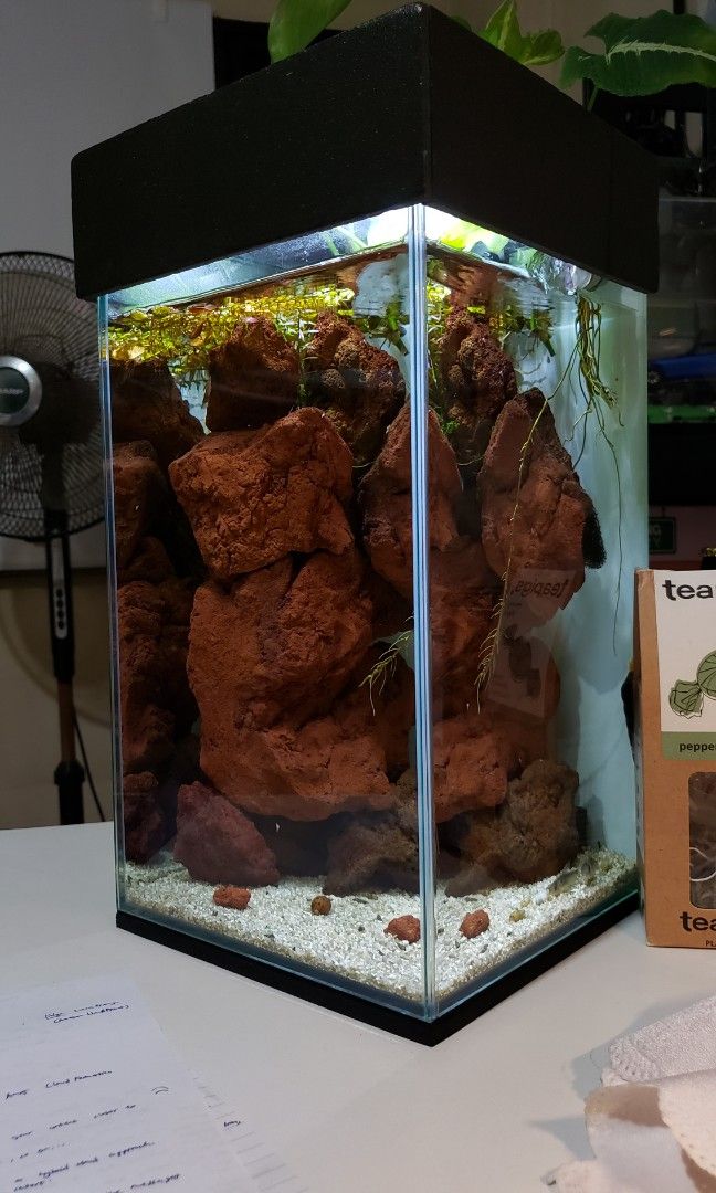 DoPhin Canister Filter CF11008, Pet Supplies, Homes & Other Pet