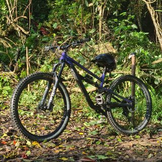 *FRAMESET ONLY* Polygon Siskiu T8 2021 L Frame 29 MTB Fullsus FS