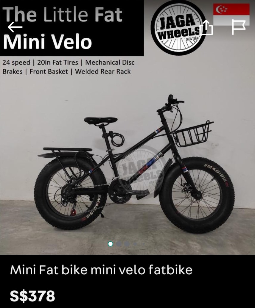 Mini velo fat on sale bike