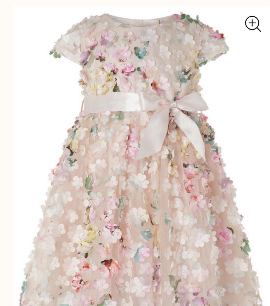 Monsoon 3D Floral Dress