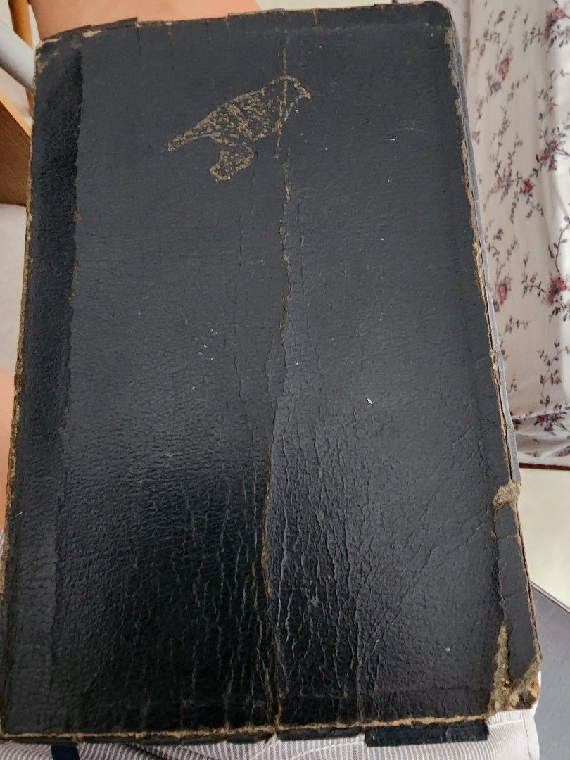 New King James Bible, Hobbies & Toys, Books & Magazines, Religion Books on Carousell