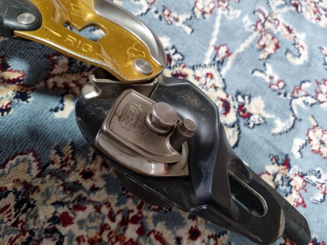 Petzl Rig 2021, Sports Equipment, Other Sports Equipment and Supplies ...