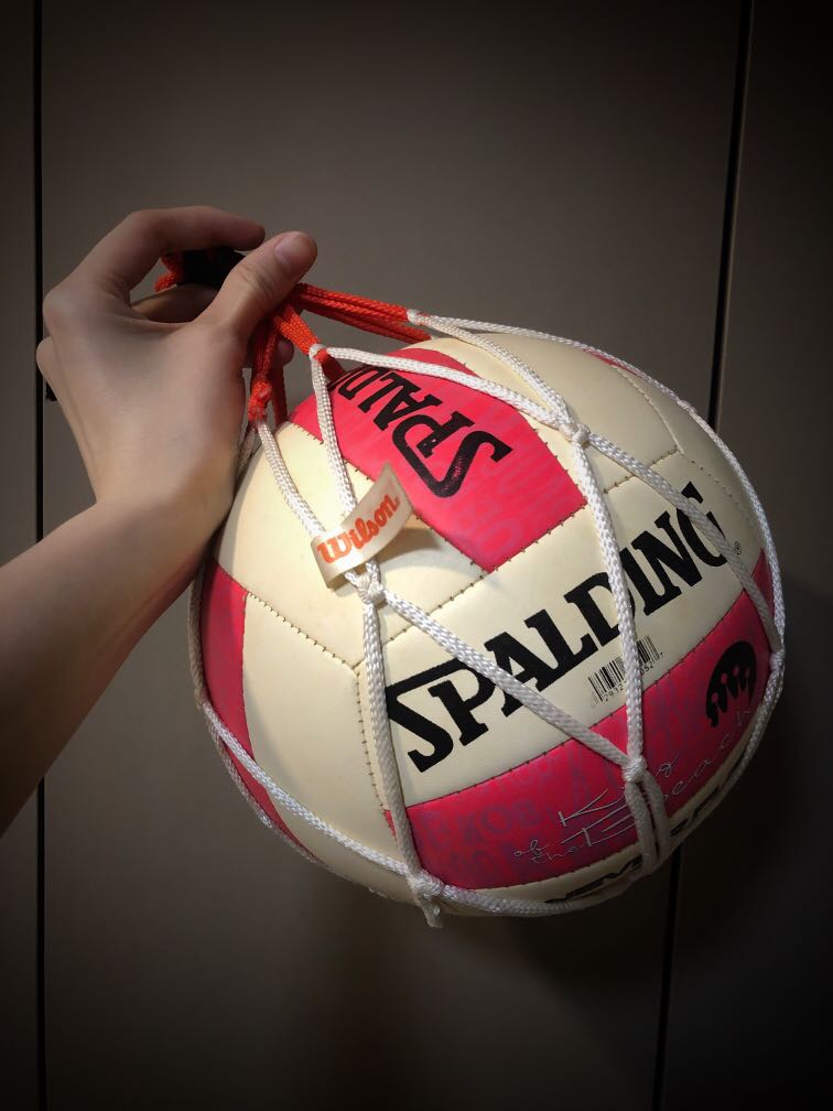 Spalding King of the Beach Volleyball, Sports Equipment, Sports & Games