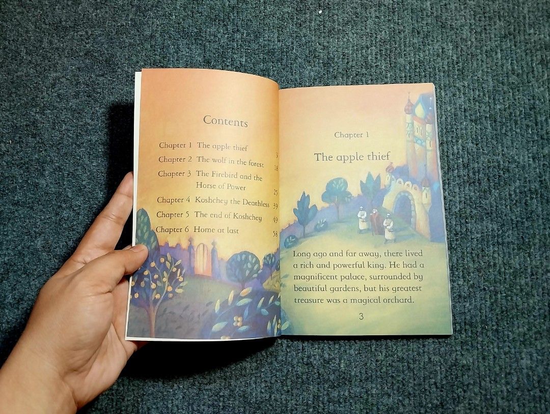 The Firebird Usborne Hobbies Toys Books Magazines Children S