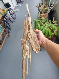 (Category: ) located in . Submitted by THEAGARWOOD (Listing ID 1201666055, Image 1). Description: .