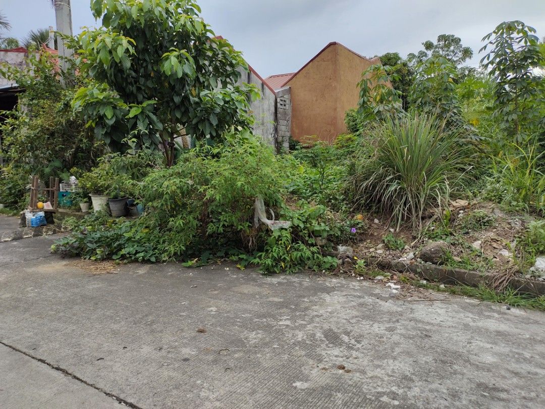 100sqm Residential Lot For SALE Golden Hills Subdivision San Vicente