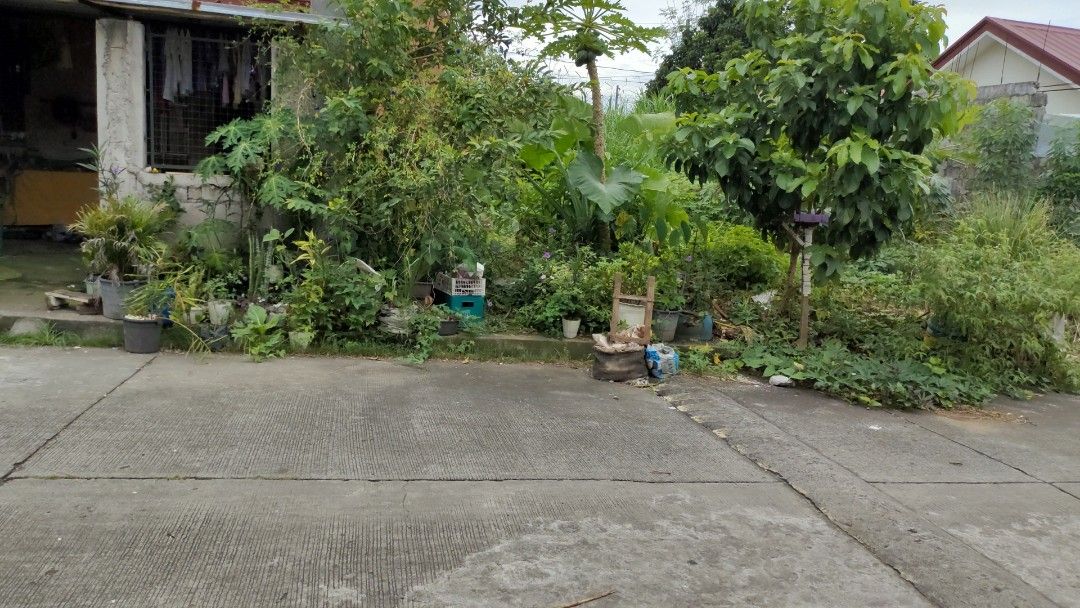 100sqm Residential Lot For SALE Golden Hills Subdivision San Vicente Santa Maria Bulacan