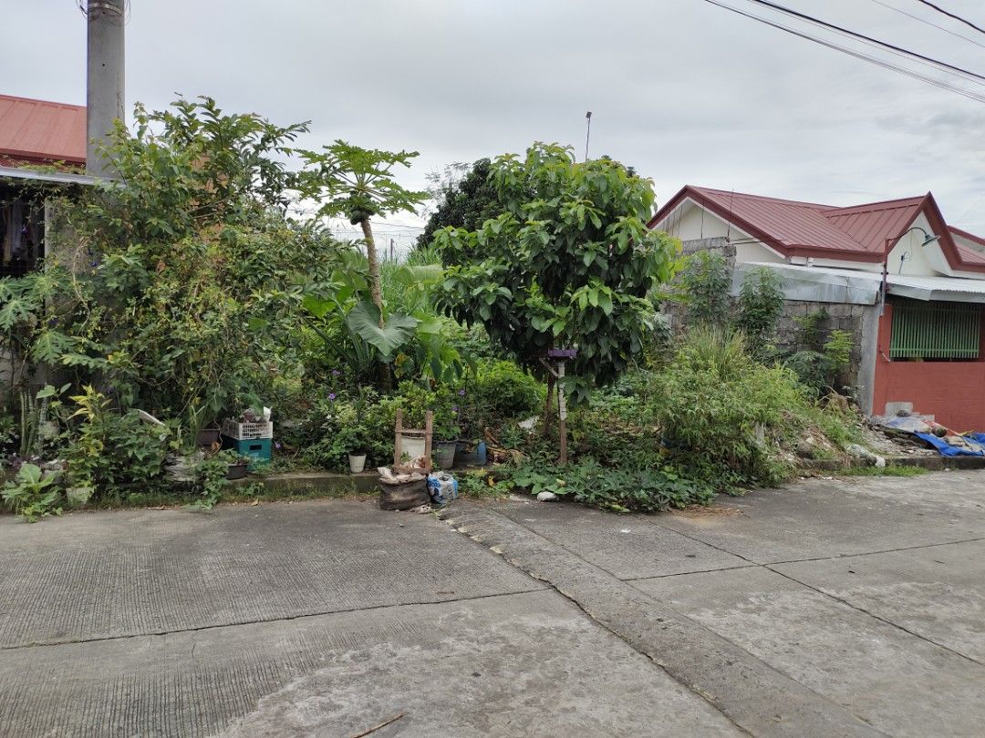 100sqm Residential Lot For SALE Golden Hills Subdivision San Vicente