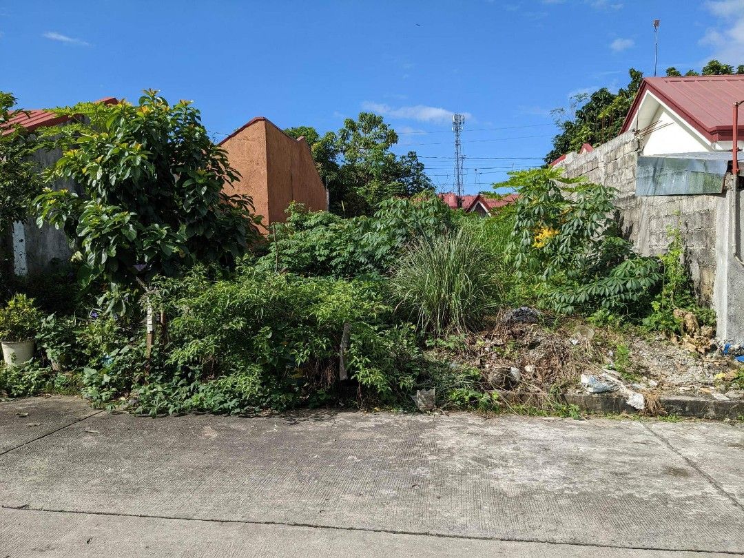 100sqm Residential Lot For SALE Golden Hills Subdivision San Vicente