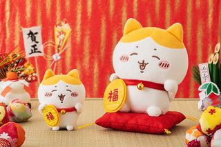 （分類：）位於 。 由 dd.onlineshop 提交（商品編號 1201892111，圖片 1）。簡介： 。